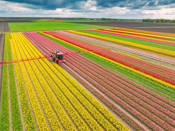 Best Pest Control Cost  in Clancy, MT